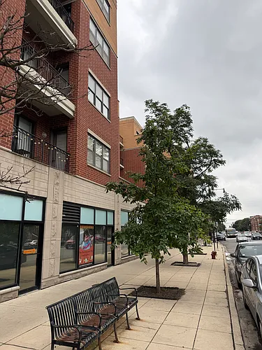 3125 W Fullerton Ave #419 Photo 1