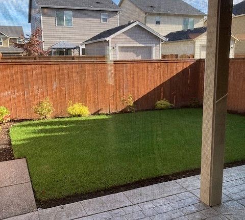 Back Yard