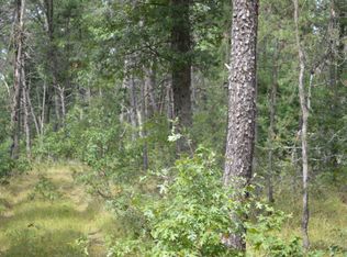 N Irons Rd, Irons, MI 49644