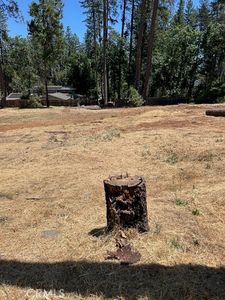 6372 Forest Ln, Paradise, CA, 95969