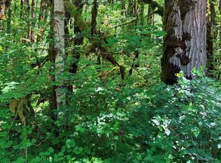 10204 Foss River Pl NE, Skykomish, WA 98288