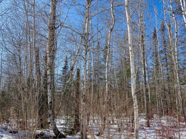 7064 Cramer Rd, Finland, MN 55603