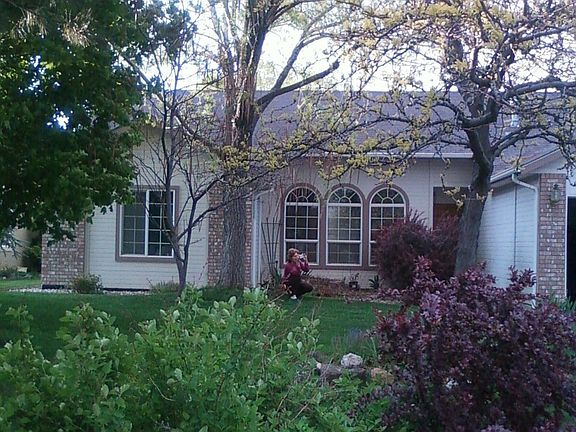 Front view through landscaping