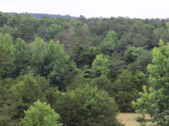 2nd image of 30 Ac Hwy #11-N