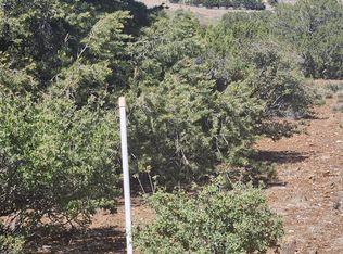 3835 W Bighorn Trl, Chino Valley, AZ 86323