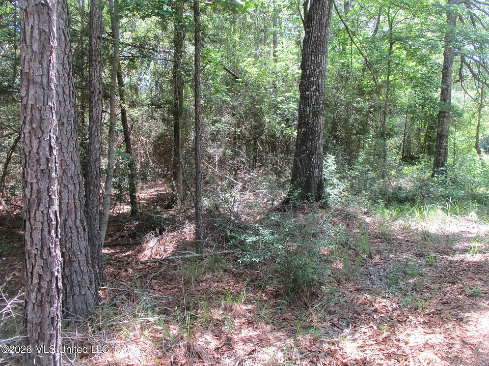 2nd image of 0 Joe Dyess Rd