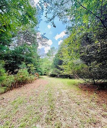 5th image of Vz County Road 4133
