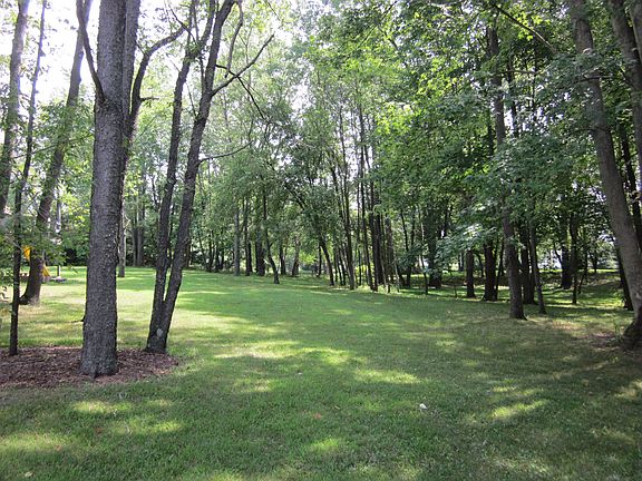 park like backyard