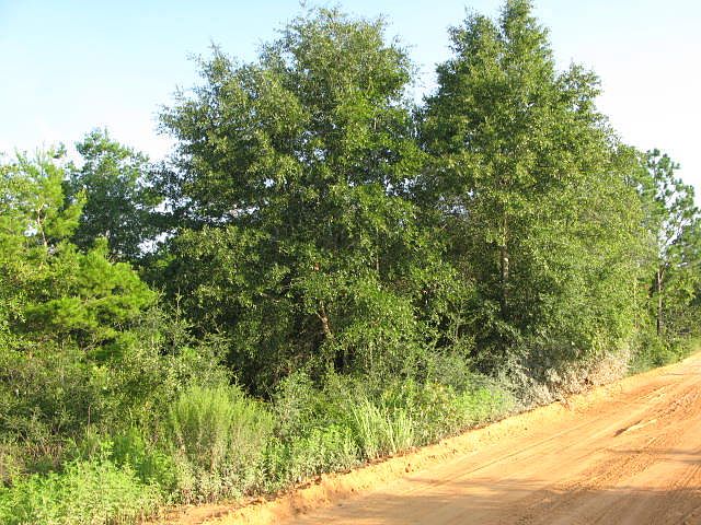 2nd image of 0 Squirrel Haven Rd