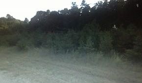 1st image of 230 Simmons Lake Dr