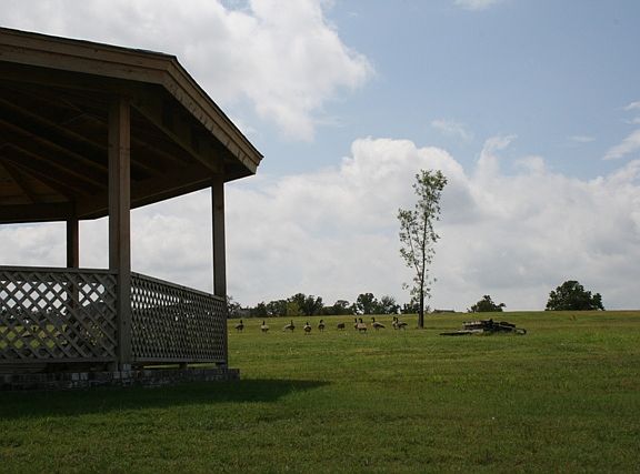 Gazebo in Common Area