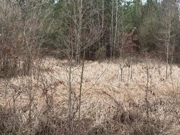 1 Magnolia Hts Lot 15, Forest, MS 39074