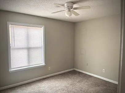 799 Donnell Blvd — Photo 4