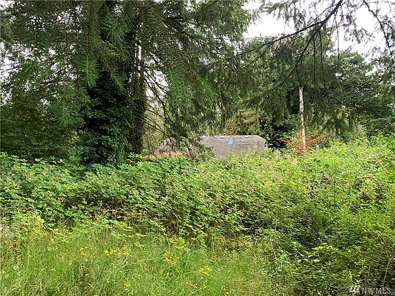 Looking towards Bain Rd from in front of the small stand of large trees. So much flat and useable land and so close to town AND an easy commute!