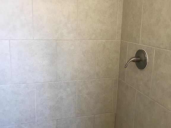 Master bathroom shower area