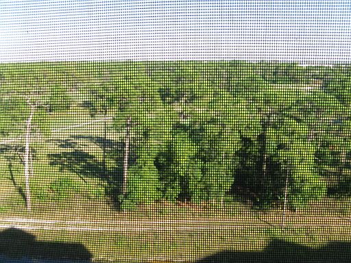 3rd image of 4529 Dalmahoy Ct APT 604