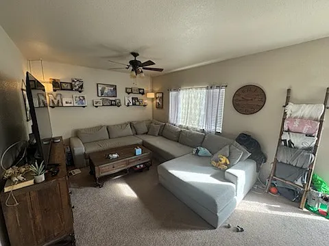 318 Maggie St — Photo 8