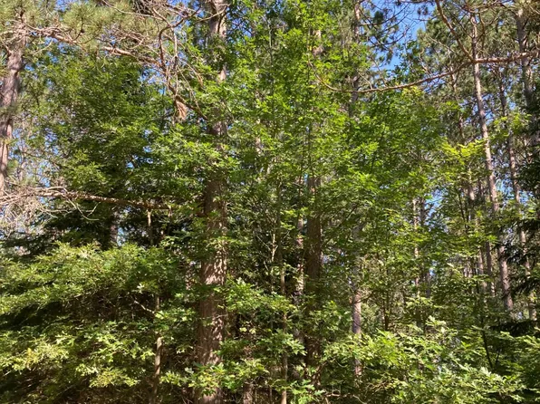 Near Highway 86, Ogema, WI 54459