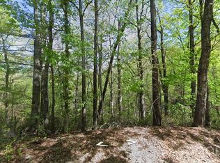 0 Buzzards Pl, Lake Lure, NC 28746