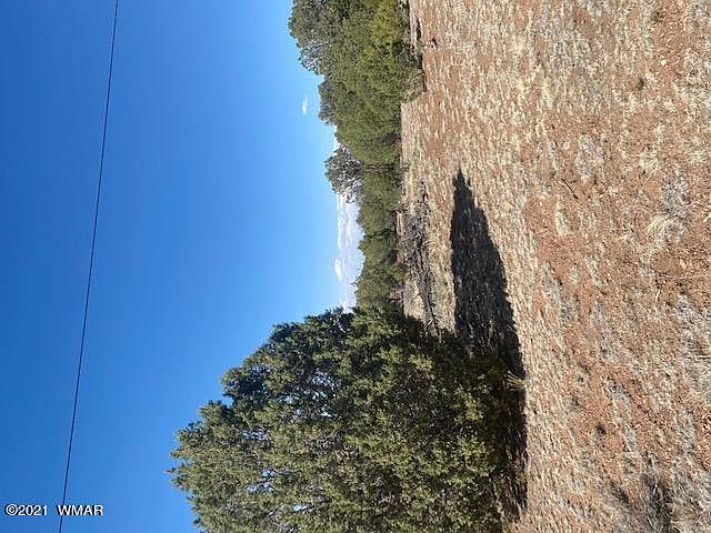 1st image of 1593 Dead End Dr