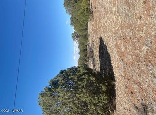 1593 Dead End Dr, Show Low, AZ 85901