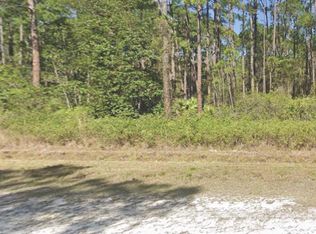 226 Terri Ave LOT 36, Georgetown, FL 32139