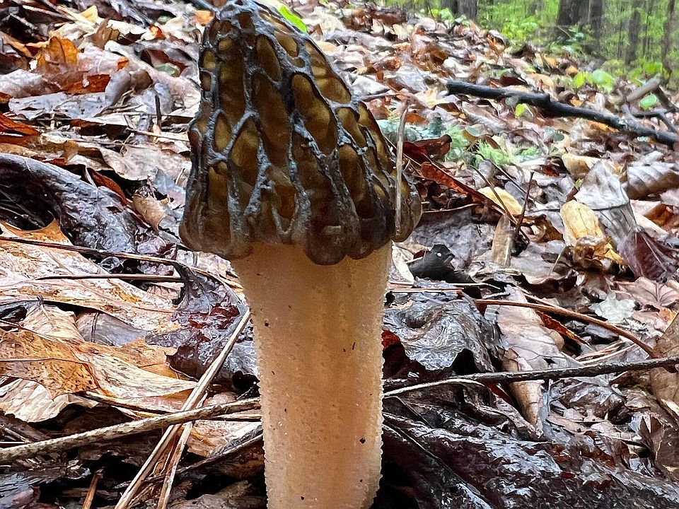 58th image of this home