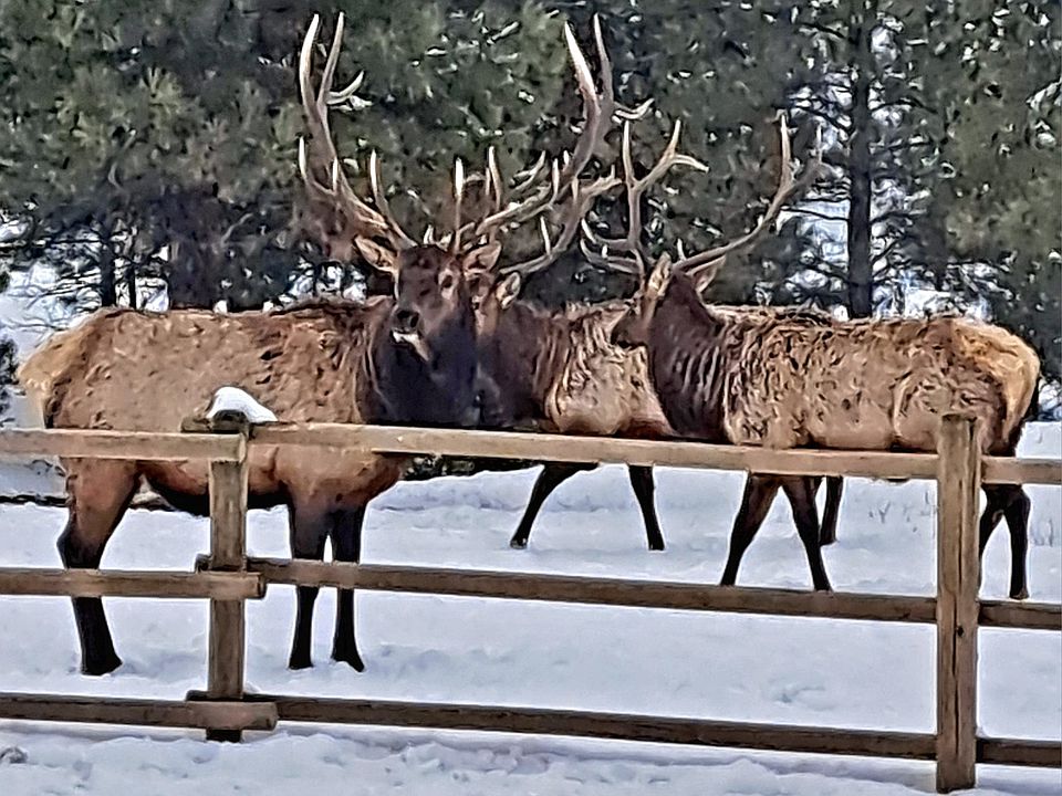 1st image of 5 Alpine Valley Ln