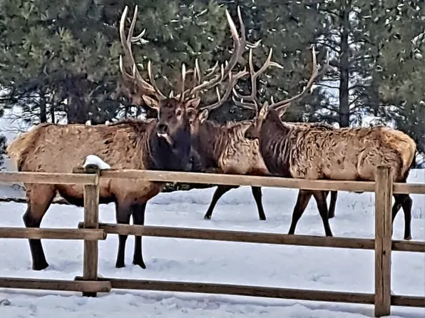 5 Alpine Valley Ln, Clancy, MT 59634