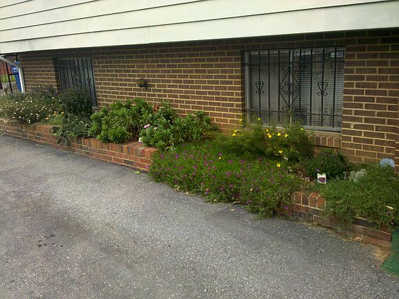 Flower Garden