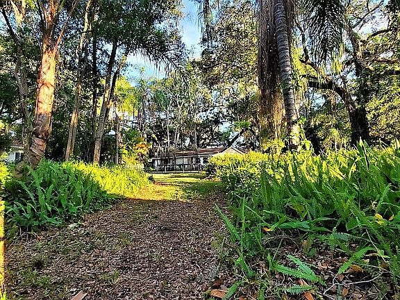 Lot View