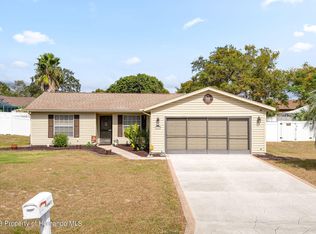 12107 Rockford St, Spring Hill, FL 34608