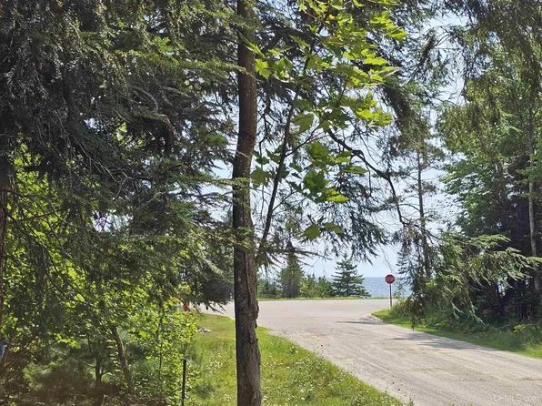 LOT 3 W Hemlock View Trl, Manistique, MI 49854