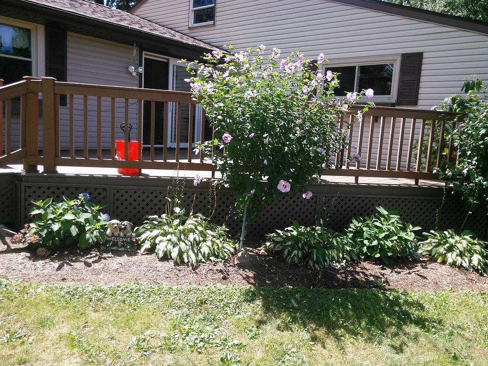 Back Deck