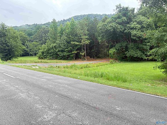 5th image of 16679 State Highway 35