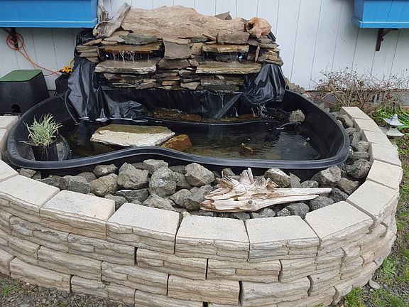 Pond