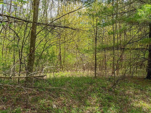 3rd image of 1347 Morse Hill Road Lot 12-A
