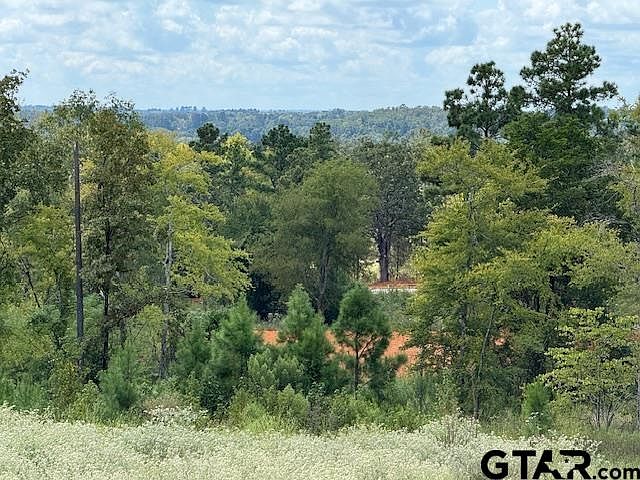 2nd image of 0 County Road 2123