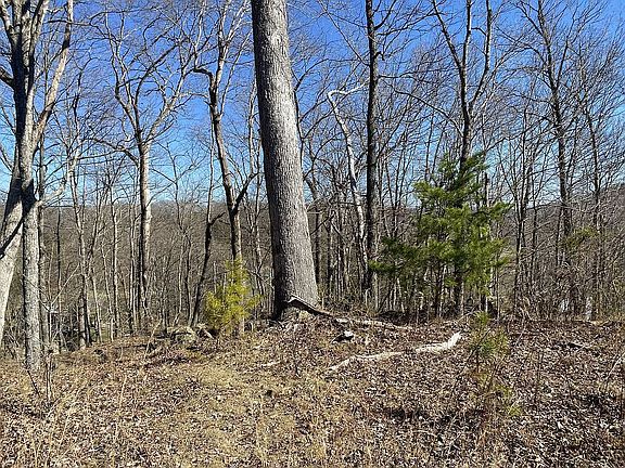 4th image of 1092 Duck Run Rd