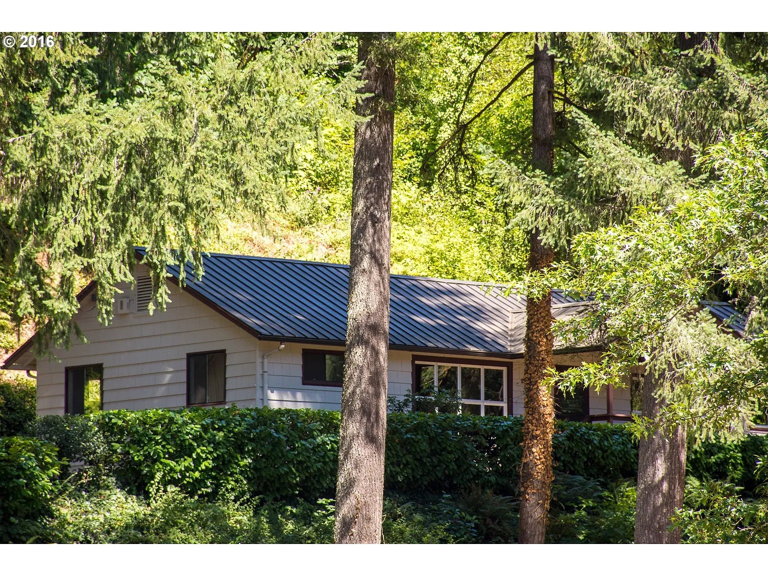 45485 McKenzie Hwy photo 1