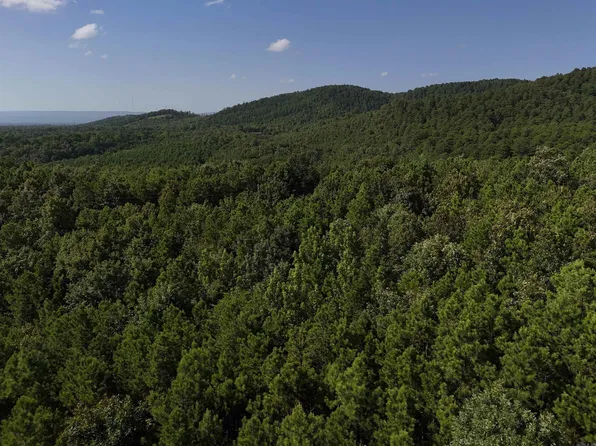 8 Polk Rd #78, Mena, AR 71953