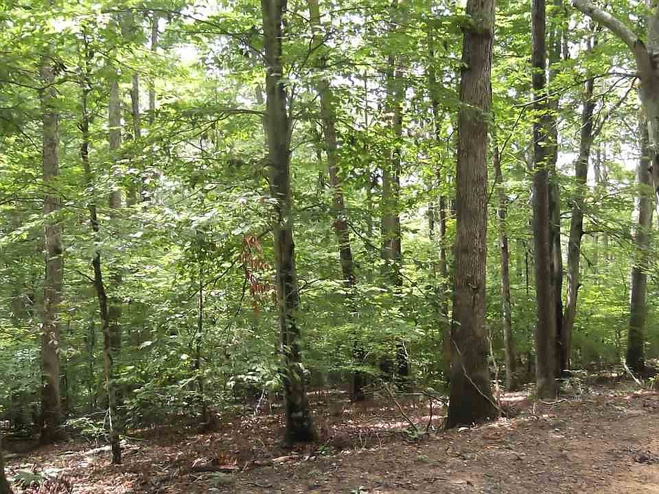 2nd image of Cove Ln