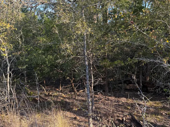 148 Helemano Dr, Bastrop, TX 78602