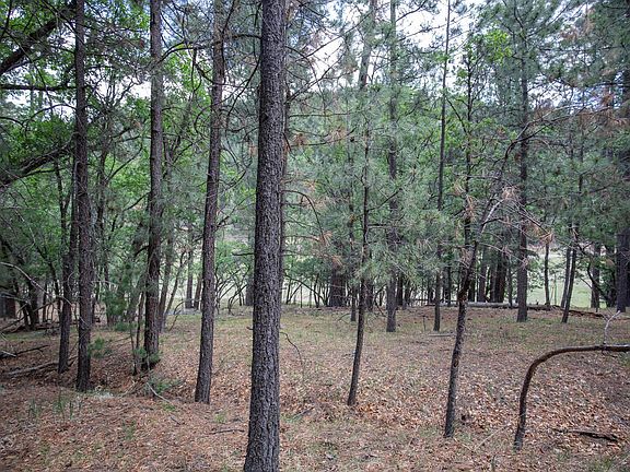 3rd image of 27 Ponderosa Pines Trl