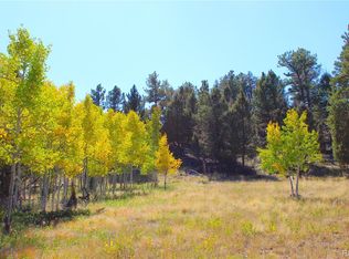 362 Sombrero Rd #545, Hartsel, CO 80449