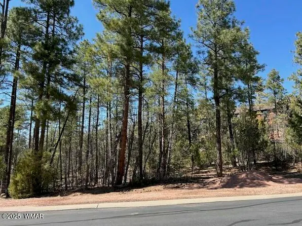 1680 W Snow Creek Loop, Show Low, AZ 85901