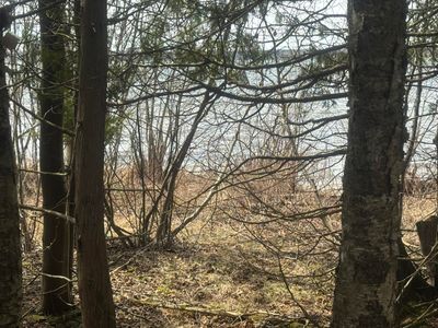 LOT 1 Tressler Dr, Mc Millan, MI, 49853