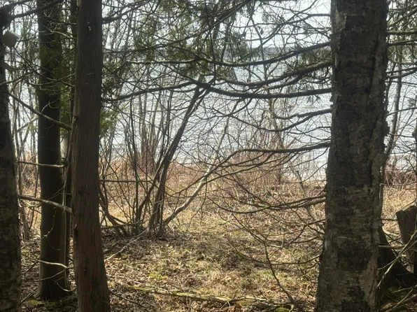 LOT 1 Tressler Dr, Mc Millan, MI 49853
