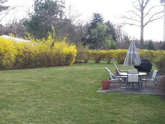 Private Yard