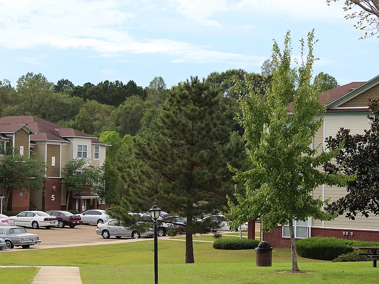 Pinnacle at Magnolia Pointe — Photo 7